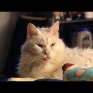 Meet your Posher, David